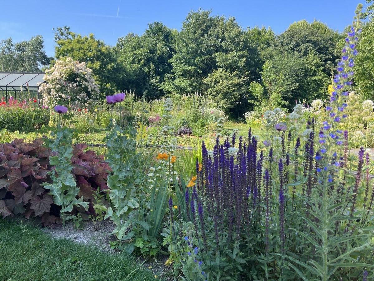 Foto van tuin met bloemen