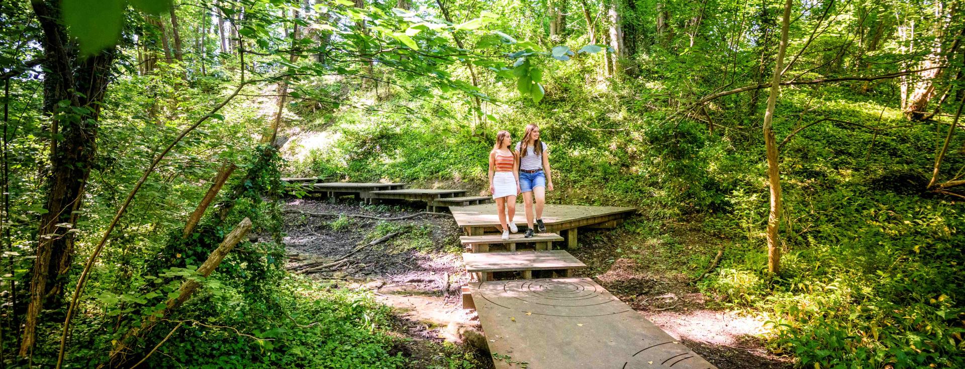 Verken 100 km aan prachtige wandeltrajecten in Dilbeek