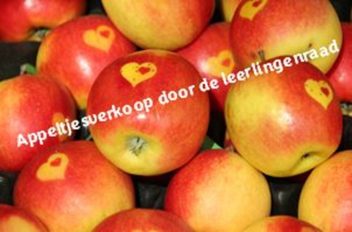 Appeltjesverkoop door de leerlingenraad