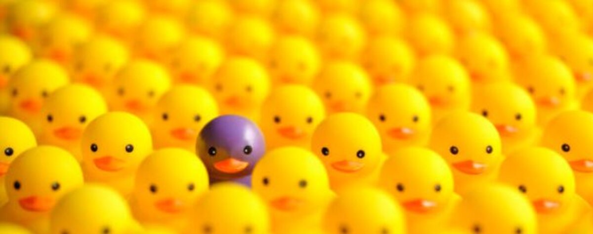 Project rond diversiteit