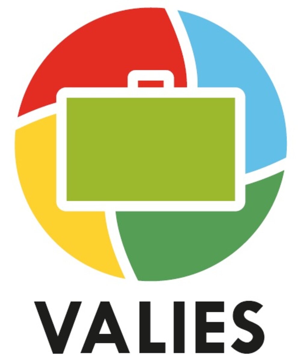VALIES-project