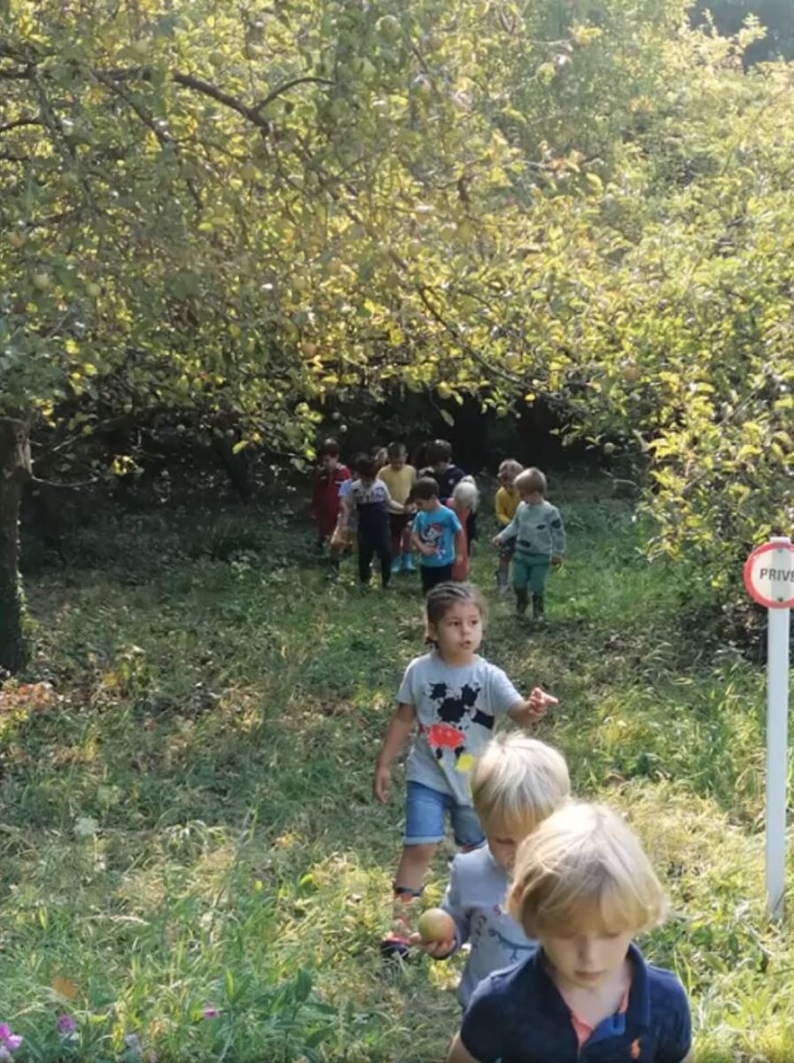 Klik op de link hieronder voor meer sfeerbeelden uit onze kleuterschool ...