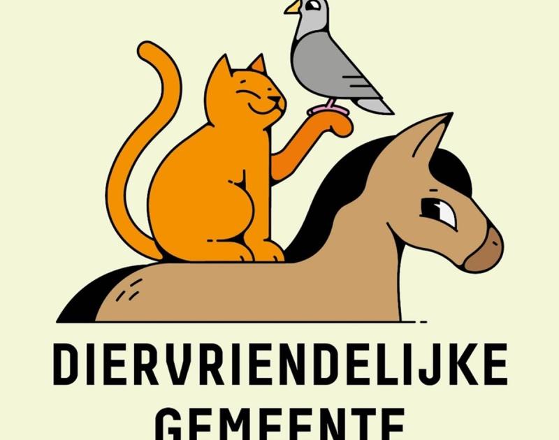 illustratie van paard, kat en duif