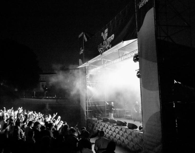 zwartwit foto van vijverfestival