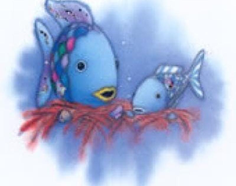 De mooiste vis van de zee Zomer 8 - 2026 © Panta Rhei vzw