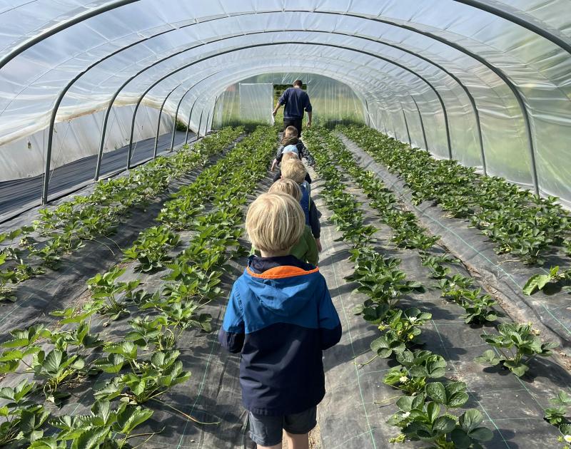 Boerderijkamp op het Neerhof © HetNeerhof