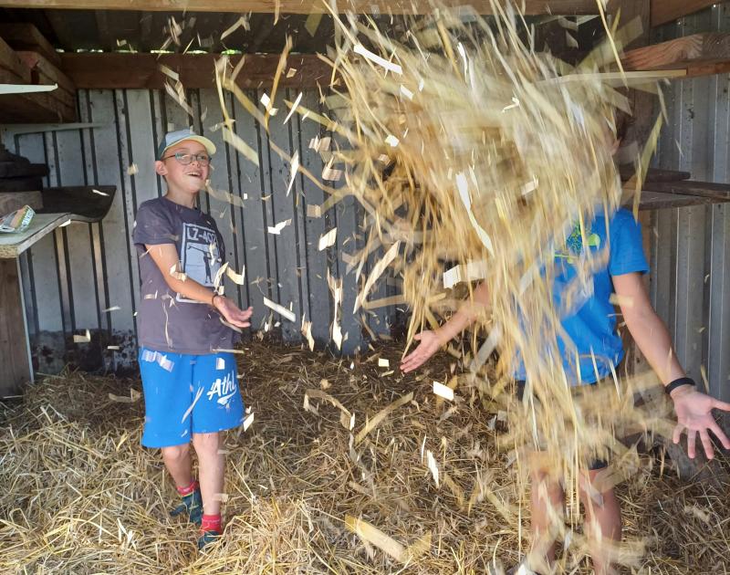 Kleinschalig buitenkamp op het ritme van de natuur en de kinderen. © Marieke Verraes