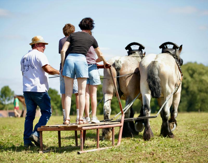 Open stoeterijdag © Ingrid Van Valvekens