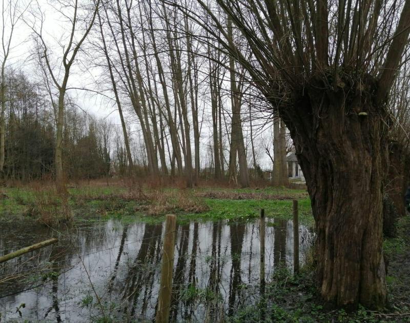 Beheerwerken Zibbeek/Begijnenborrebos © Eric De Jonge