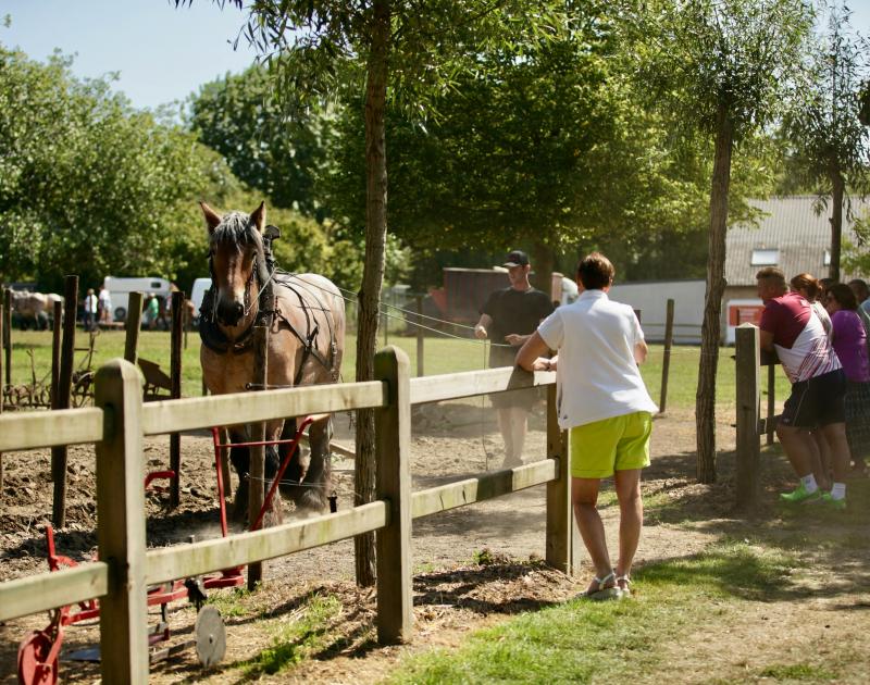 Open stoeterijdag © Ingrid Van Valvekens