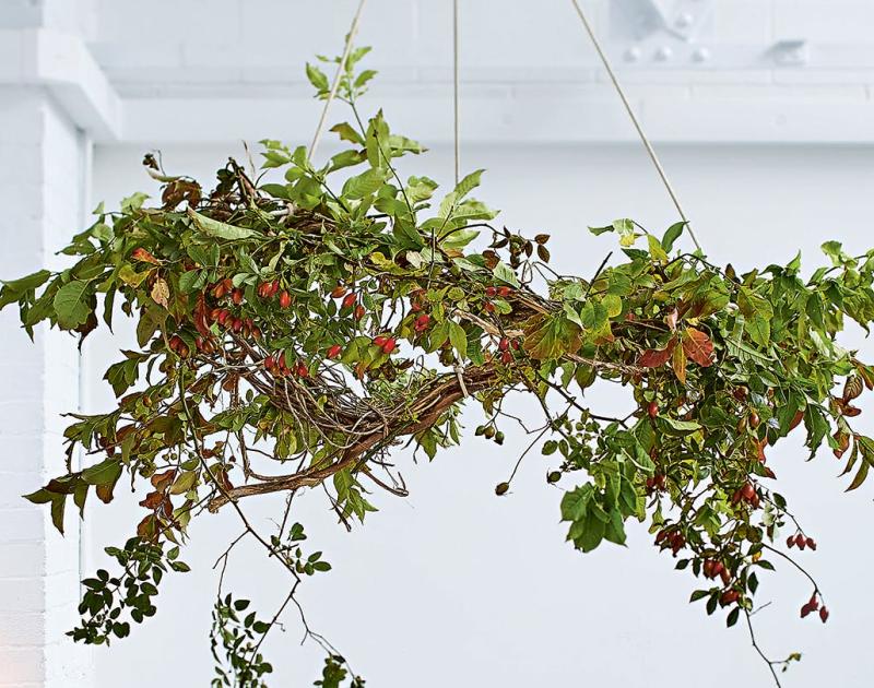 Bloemencirkels het jaar rond © Ferm vzw