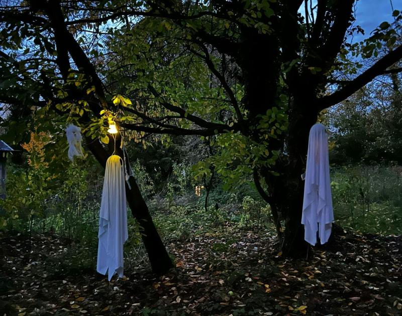 Halloween op de Thaborberg © Dirk Timmermans