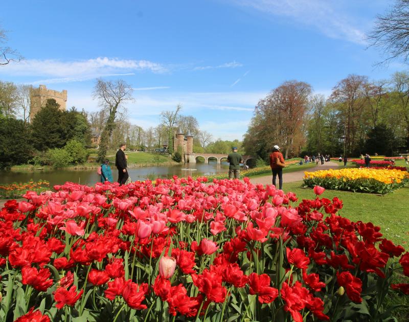 Floralia Brussels & Maya De Bij 2026 © Floralia Brussels