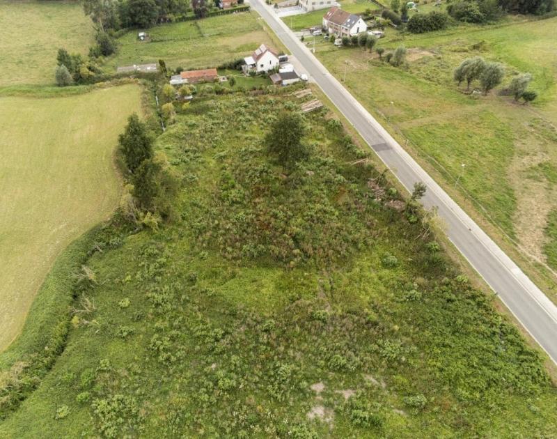 Mullebos - fase 1: conceptvisie