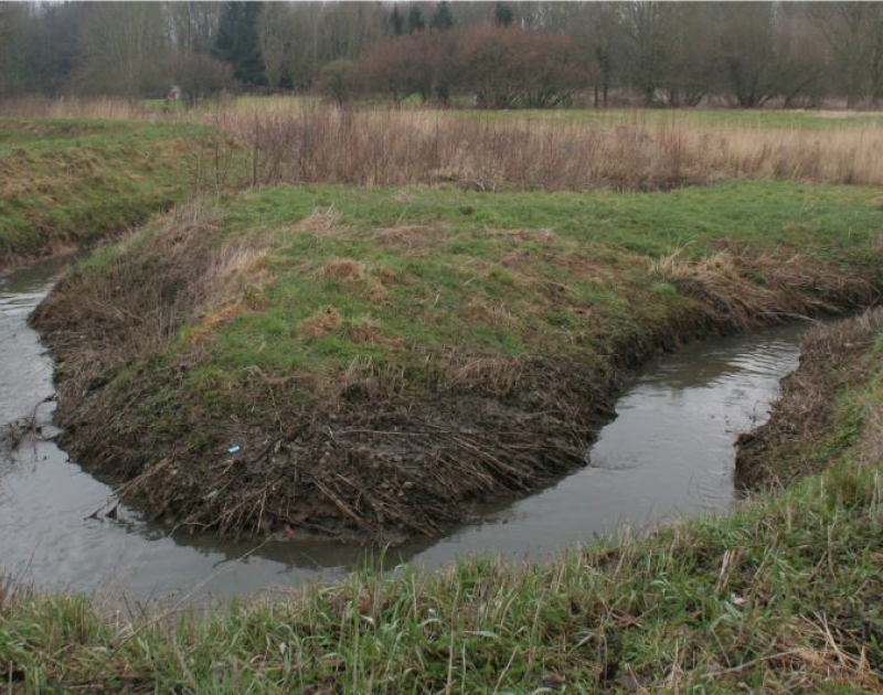 Mullebos - fase 1: conceptvisie