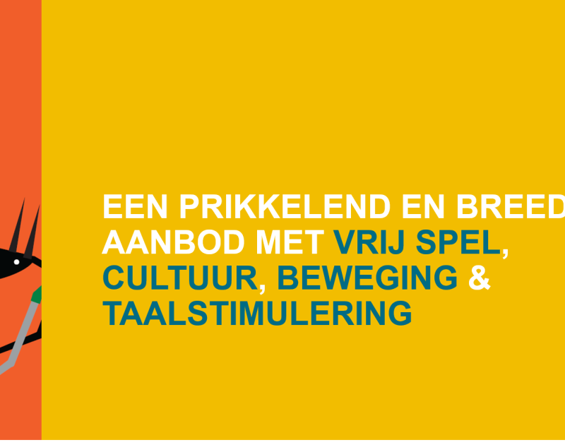 Visie speelplein Dilbeek