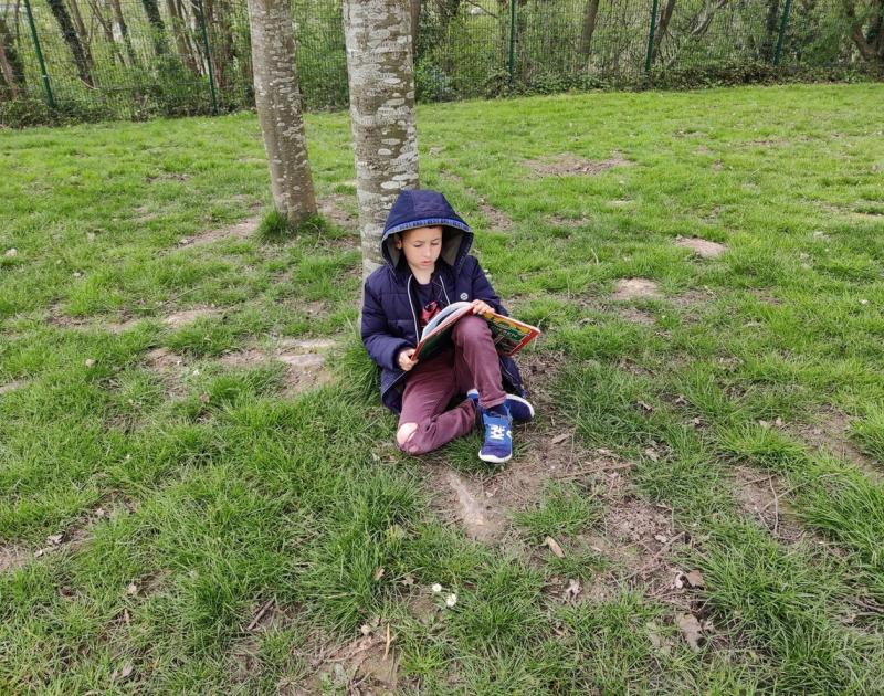 Lezen in het zonnetje