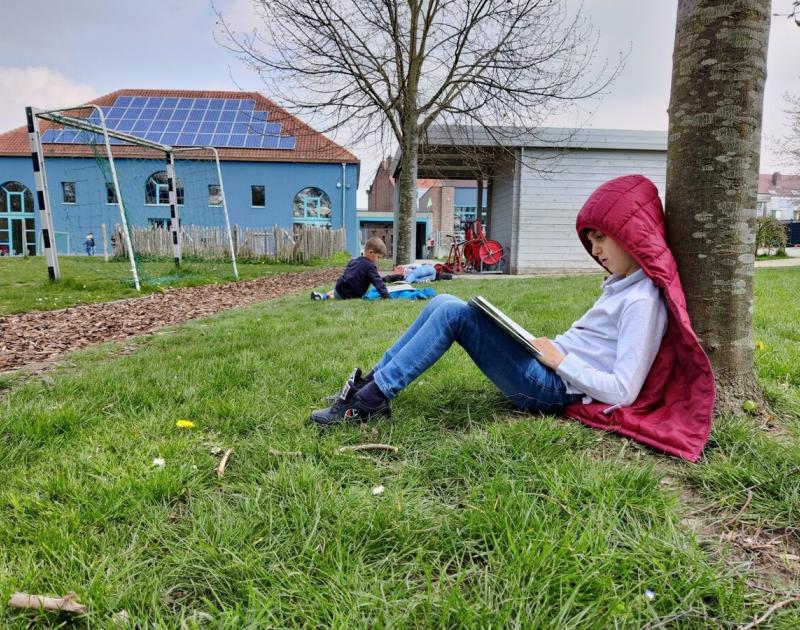 Lezen in het zonnetje