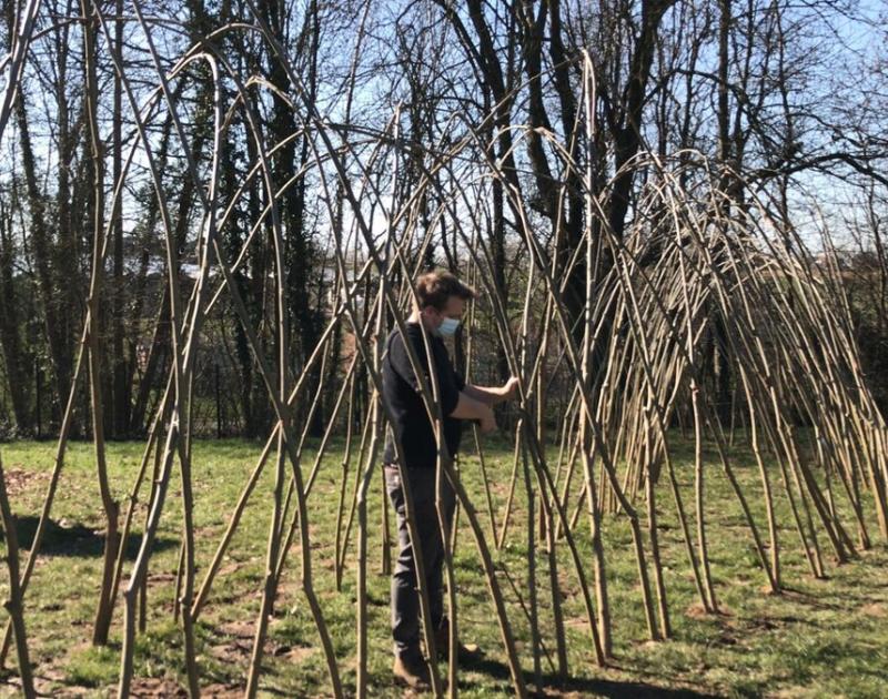 Een nieuwe wilgenhut op onze school