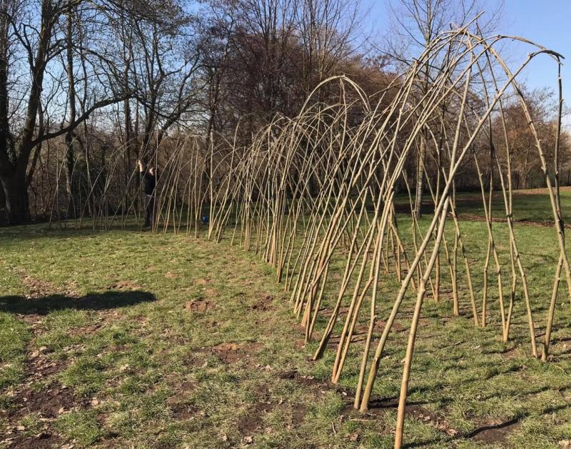 Een nieuwe wilgenhut op onze school