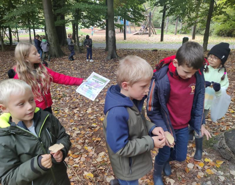 2AB - Uitstap bos Huizingen