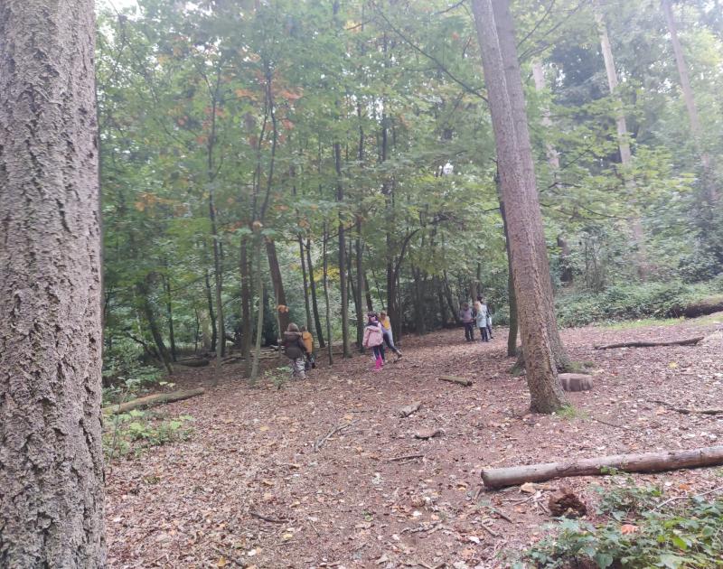 2AB - Uitstap bos Huizingen