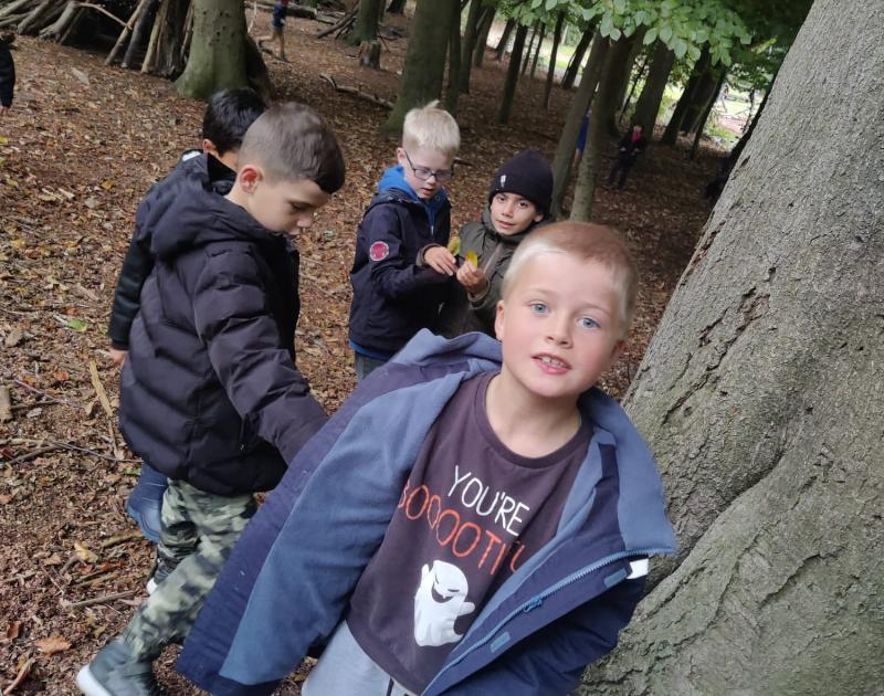 2AB - Uitstap bos Huizingen