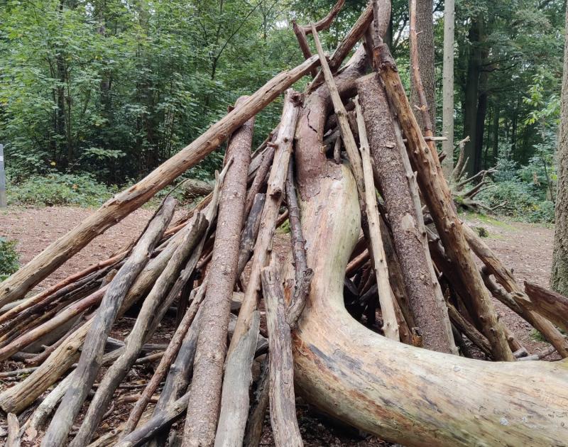 2AB - Uitstap bos Huizingen