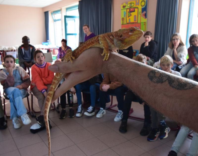 Reptischool