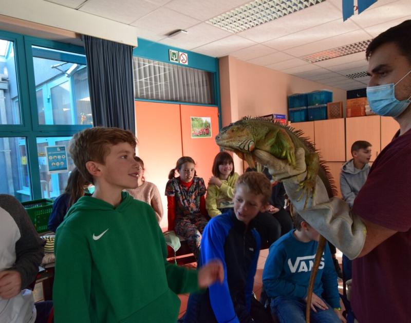 Reptischool