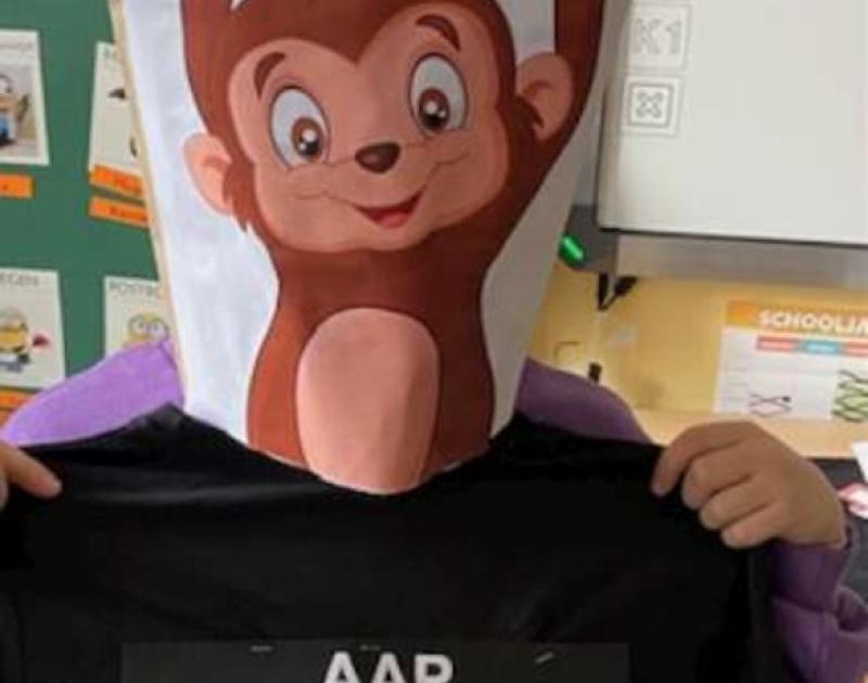 The masked dancer ... Who are you 3B?