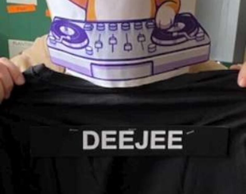 The masked dancer ... Who are you 3B?