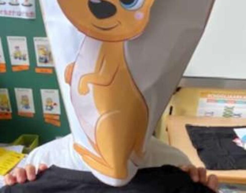 The masked dancer ... Who are you 3B?