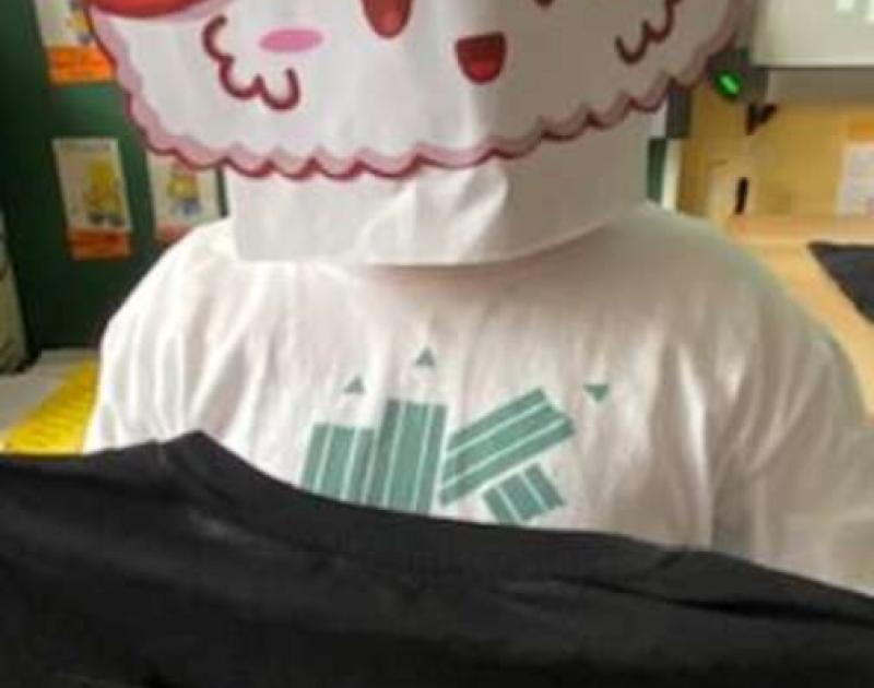 The masked dancer ... Who are you 3B?