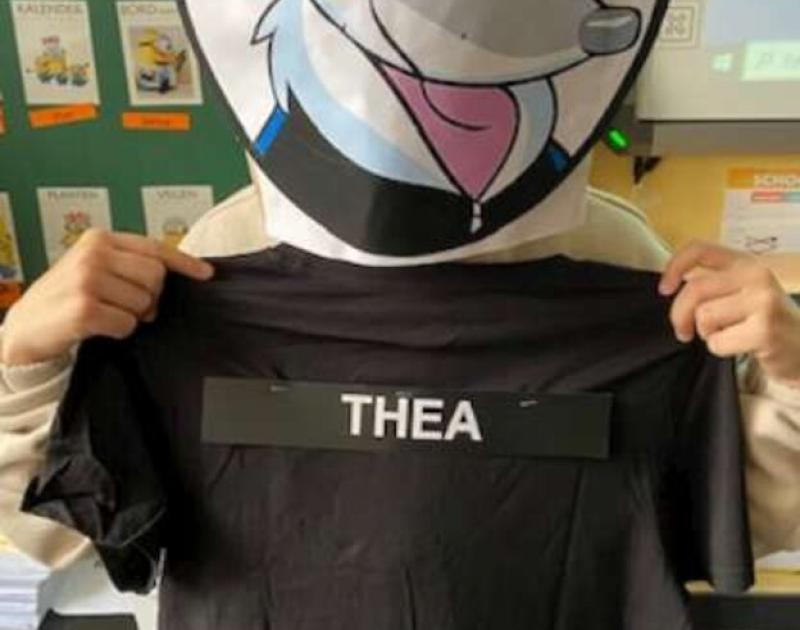 The masked dancer ... Who are you 3B?