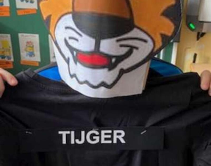 The masked dancer ... Who are you 3B?