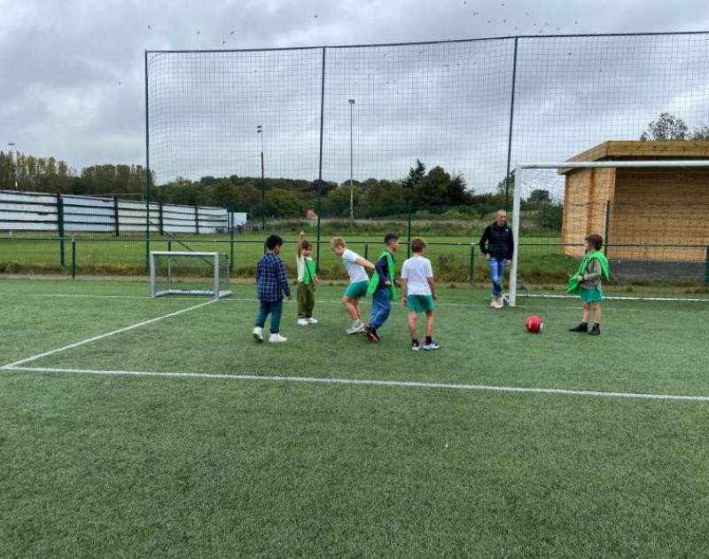 Een namiddag kriebeltje roer