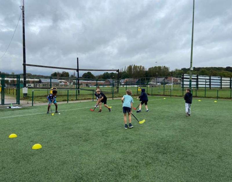 Een namiddag kriebeltje roer