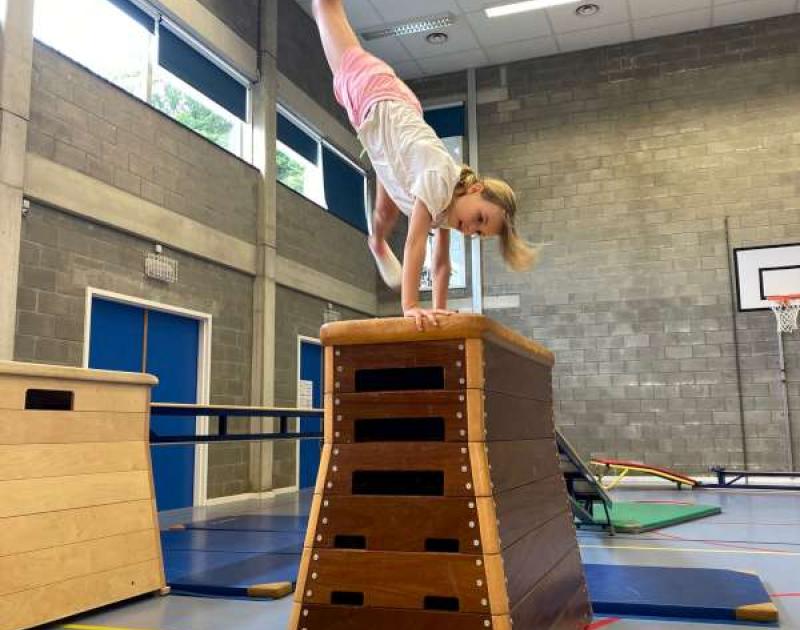 Een namiddag kriebeltje roer