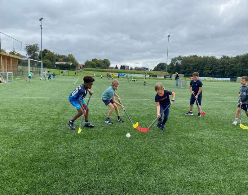 Een namiddag kriebeltje roer