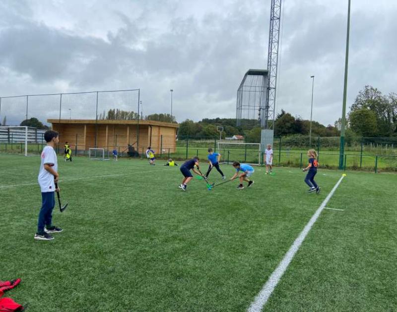 Een namiddag kriebeltje roer