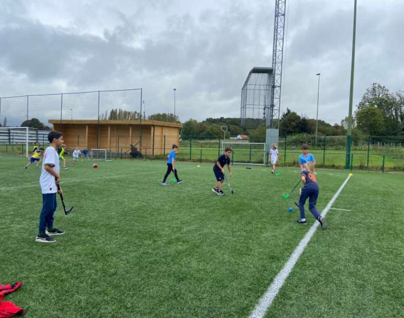 Een namiddag kriebeltje roer