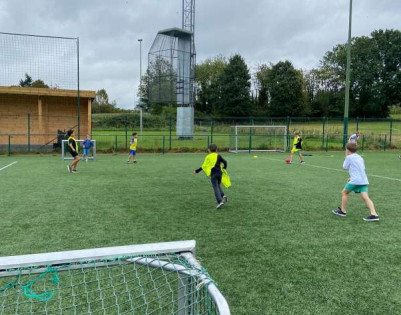 Een namiddag kriebeltje roer