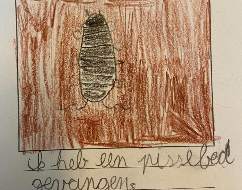 Klasblog 3de leerjaar