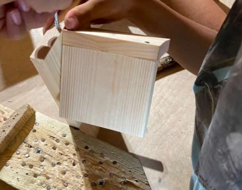 Klasblog 3de leerjaar