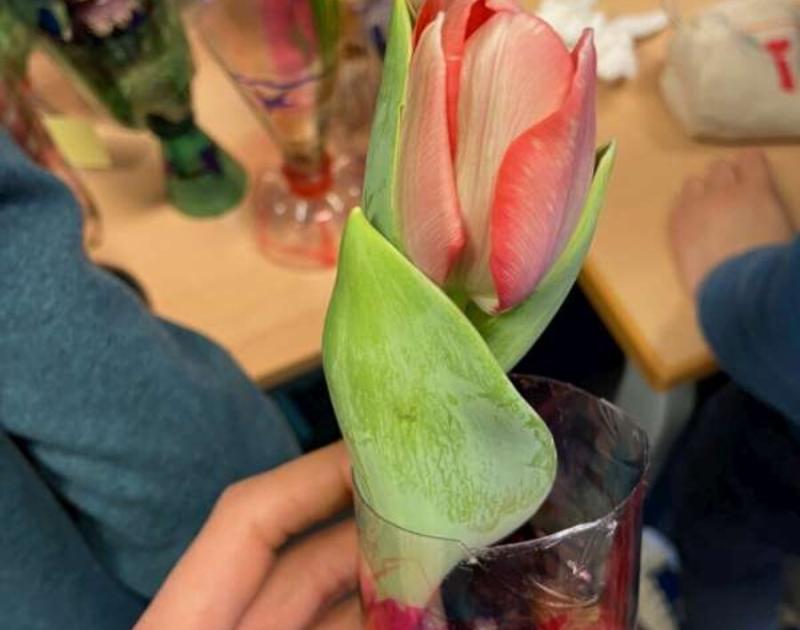 Klasblog 3de leerjaar