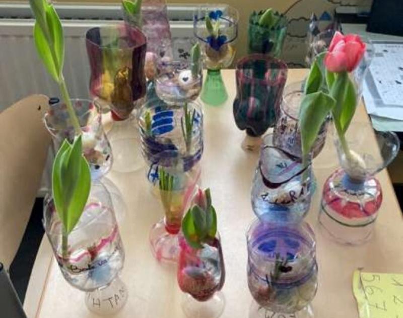 Klasblog 3de leerjaar