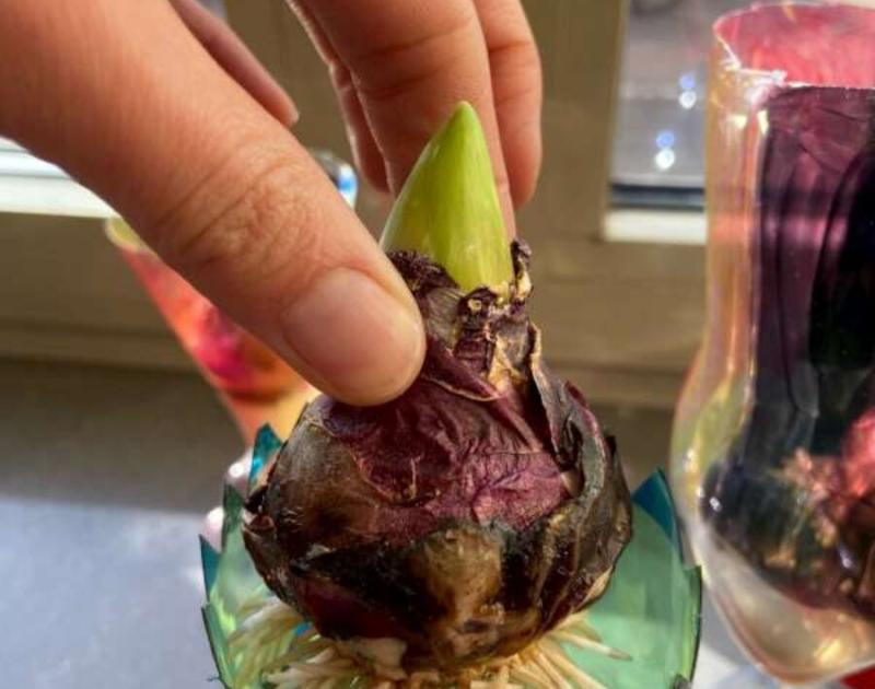 Klasblog 3de leerjaar