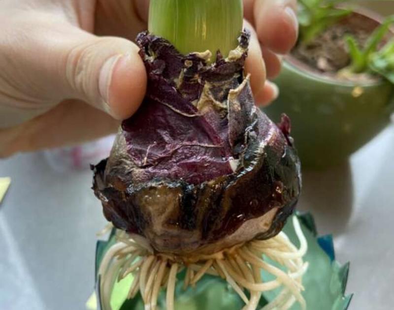 Klasblog 3de leerjaar