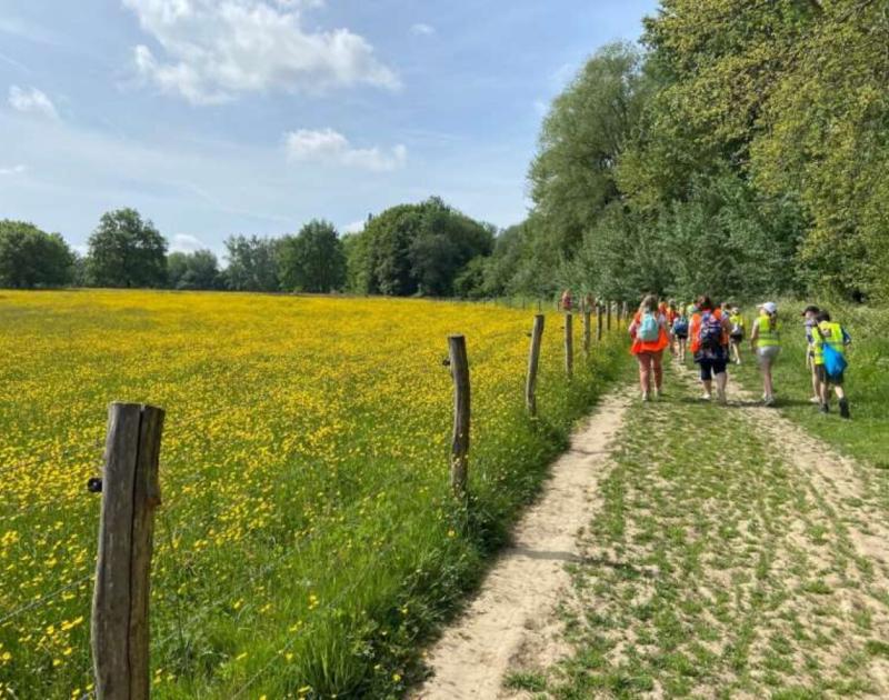 Klasblog 3de leerjaar